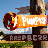 A rustic wooden signpost in a pumpkin patch with a bright orange plank sign reading 'PUMPKIN' and a dark red sign below reading 'RASPBERR'. An orange colored belt with black keeper and buckle is coiled on the left side of the sign.