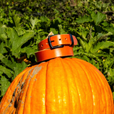 A bright orange leather belt with a black buckle, wrapped around the stem of a large orange pumpkin in a green garden.